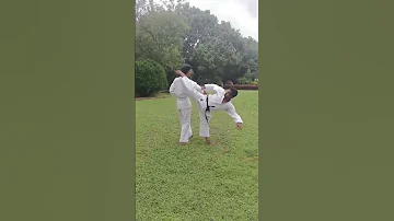 Powerful Karate Kick Demonstration Street Fight Skills SelfDefense KarateSkills Shortsfeed 