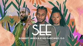 Sunnery James & Ryan Marciano feat  QG   See Official Visualizer