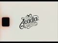 Acadia Elopement Collective: Super 8 Magic in Motion!