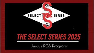 The Select Series 2025 - Angus PGS Program