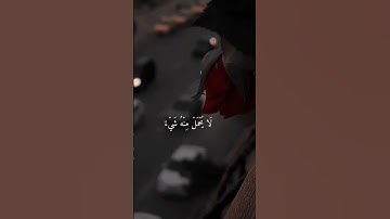 #القرآن_  #راحه_وطمأنينه_للقلب #القرآن_الكريم #رمضان #الهدايا #تلاوة_هادئة #راحة_نفسية #تلاوة_خاشعة