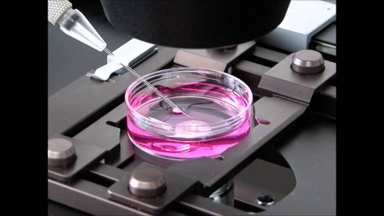 Ethics In Bioengineering