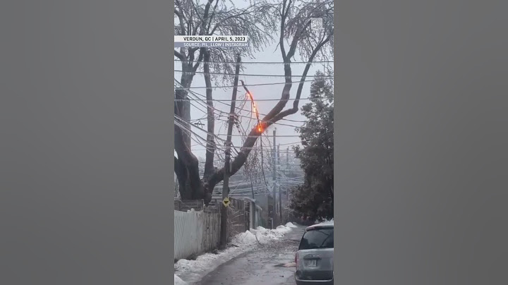 Freezing rain takes down trees and powerlines in eastern Ontario & Quebec #weather #icestorm
