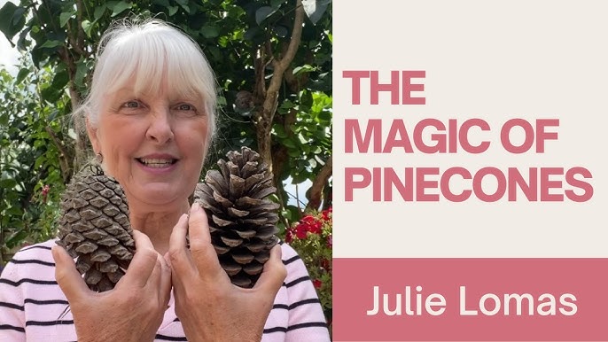 ⭐How to Clean Pine Cones for Crafts in 3 Easy Steps ⭐ MoonMagickSpirit 