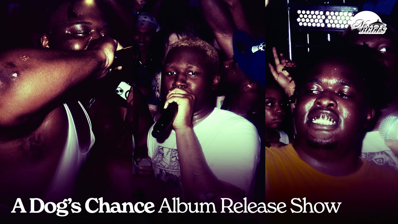 A Dog's Chance Release Show (Interviews with Polo Perks, Quinn, AyooLii, FearDorian)