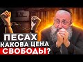 Песах. Какова цена свободы? Рав Ашер Кушнир