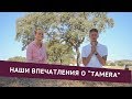 Наши впечатления об экопоселение "Tamera" в Португалии