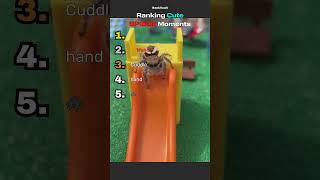 Cute Spiders? Who knew!?