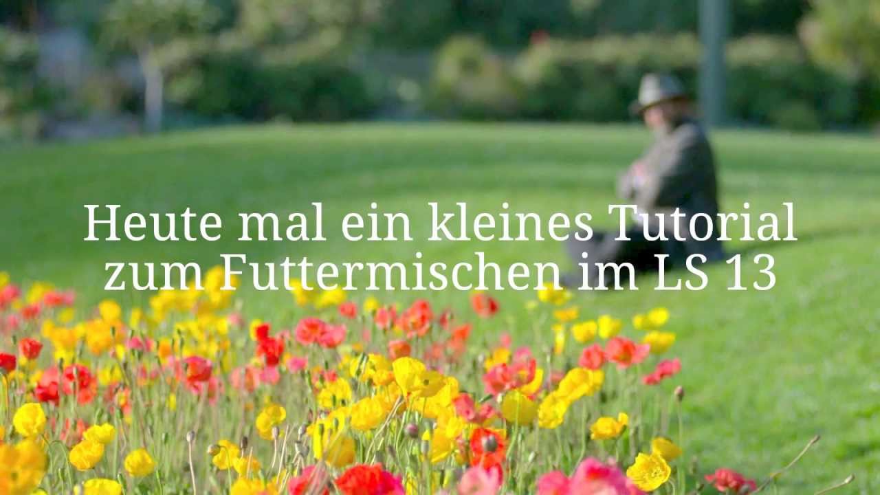 Tutorial 1 Futtermischen [LS13]