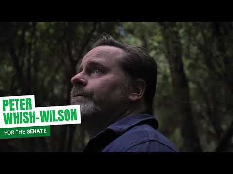 Peter Whish-Wilson for the Senate – Fighting climate change head on