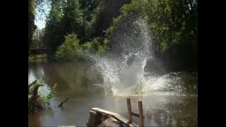 Splashdiving-Extreme