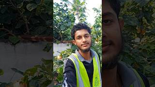 genaretor repairing  #music #electrical #industrialelectrician #vairalvideo #video