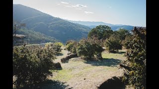 The 2019 West Coast Weed Tour With Respect My Region