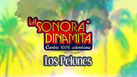 Los Pelones - La Sonora Dinamita / Discos Fuentes [Audio]