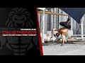 Freestyle street workout