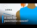 How mRNA could help fight deadly cancer | DW News