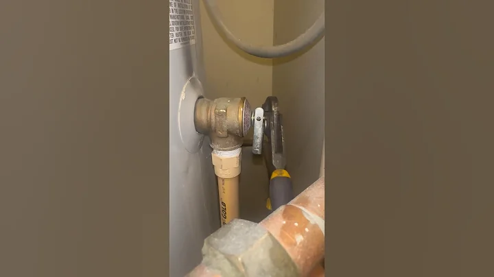 Water heater relief valve leaks! Easy fix!! #jokes
