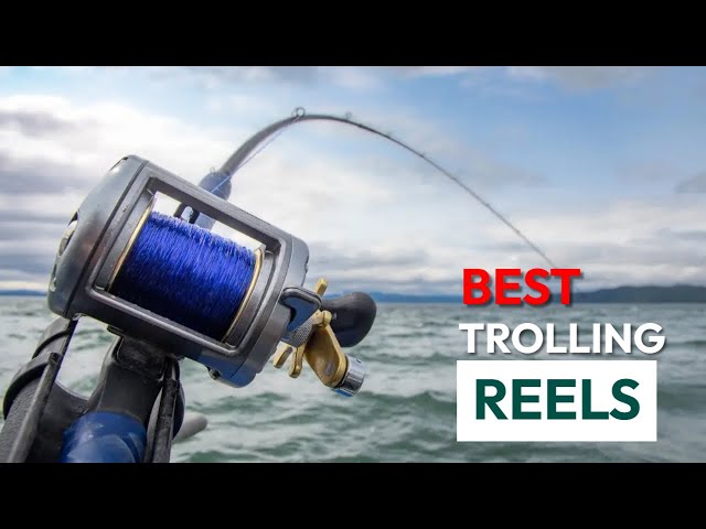 Burning Shark Fishing Reel Round Baitcasting Reel, Smooth Powerful