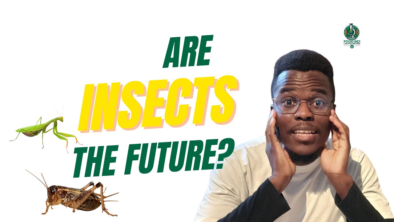 Are Insects the Future of Protein? Why the World Is Paying Attention