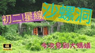 1星路線 沙螺洞｜2025年1月｜鳳園來回 一程只需1小時 輕鬆簡單 大埔居民可作晨運路