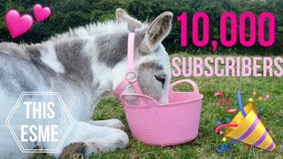 Details 10,000 Subscribers | Edit | This Esme Guide