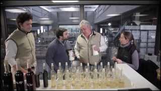 Rutini Wines - The legacy begins...