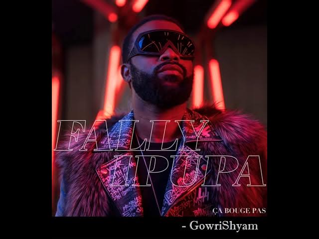 Fally Ipupa   Ça bouge pas Audio