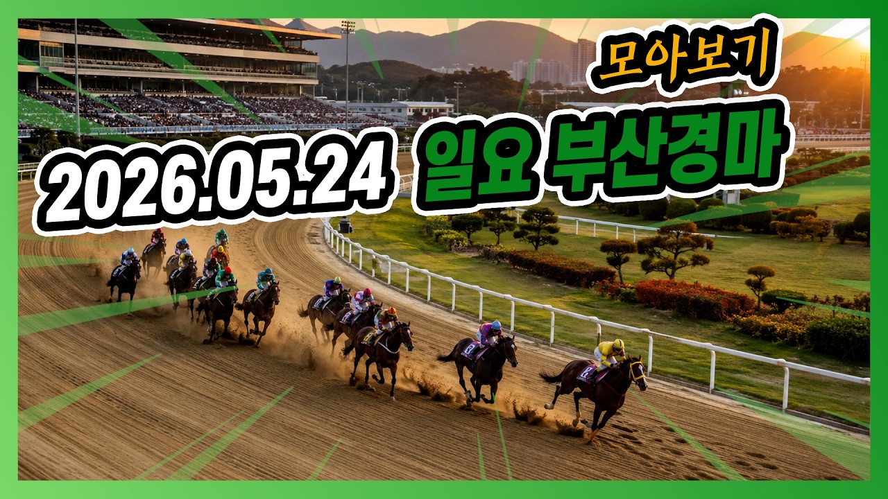 2026년 5월 24일 일요 부산경마 전체경주 모아보기