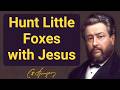 Let's Hunt For Little Foxes with Jesus | Charles Spurgeon | Devotional | Morning & Evening