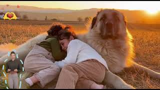 Anatolian Shepherd Dog — fearless guardian of the flock 🐾🇹🇷