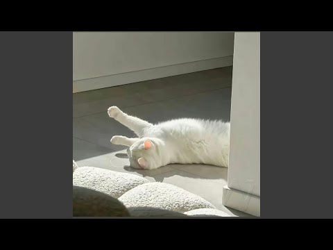 若不是因为你 (粤语女版)