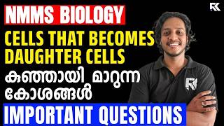 Cells That Become Daughter Cells