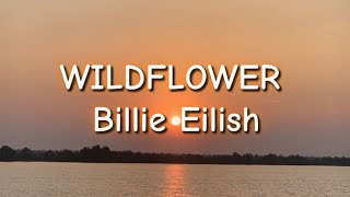 WILDFLOWER Billie Eilish (lyrics) Resimi