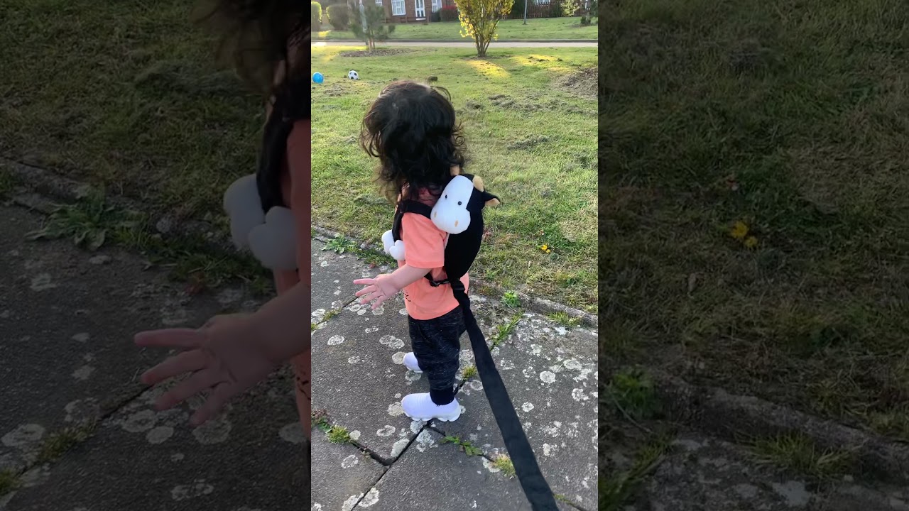 BABY HARNESS | GREAT ACCESSORY FOR OUR TODDLERS