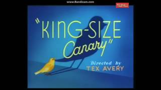 King Size Canary