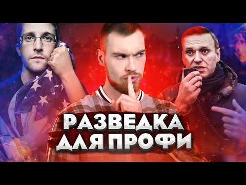 Как пользоваться Maltego в Kali Linux? Скачать инструмент IT сыщика