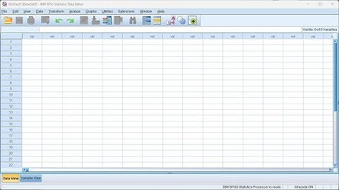 IBM SPSS Statistics 2025 12 20