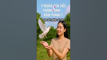 Ý Nghĩa Phóng Sinh Rằm Tháng 7 chuẩn