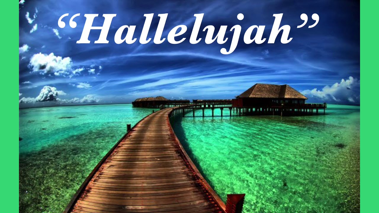 Hallelujah by Alexandra Burkes COVER SONG - YouTube
