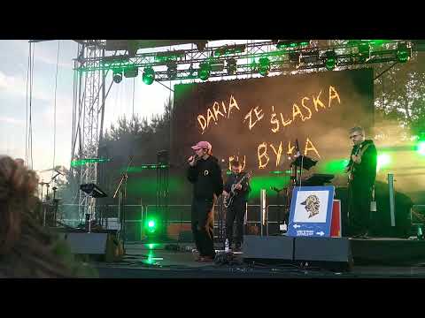 Daria ze Śląska, Czarny HIFI - Mainstream