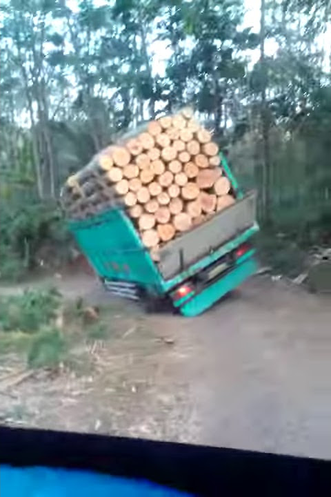 Truk muatan kayu sengon