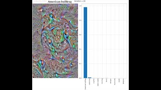 Understanding Convolution Neural Nets through Deep Visualization and Synthesizing Fooling Images