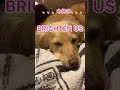 BRIGHTEN USを歌ってみた