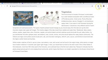 Earth Science Extra Credit #2