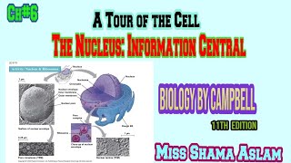 Tour of the Cell: What is Nucleus? Nuclear matrix, Nuclear lamina, Nuclear pore, Nuclear envelope