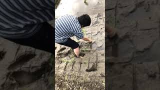 King Gnu/井口さん、実家の畑で丁寧に手で田植え☆お疲れ様です☆#KingGnu#井口理#田植え