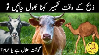 Zibah Kay Waqt Takbeer Reh Jaey To Kya Karain || Gosht khana kesa?