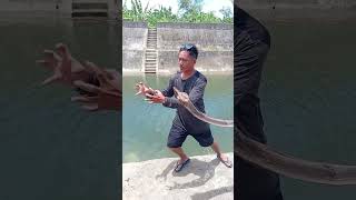 Muay Thai master Karate tutorial $10,500 per hour