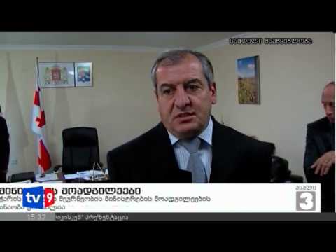 ახალი 3 | მინისტრის მოადგილეები | 10.11