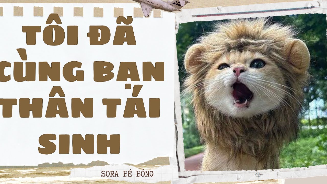 [Truyện Audio ] [FULL] TÔI ĐÃ CÙNG BẠN THÂN TÁI SINH || Sora Bé Bỏng